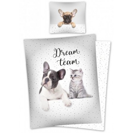 The Dog & Cat